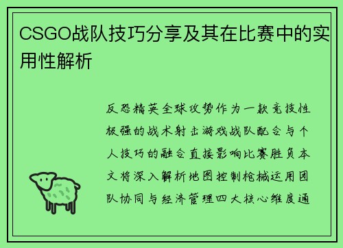 CSGO战队技巧分享及其在比赛中的实用性解析